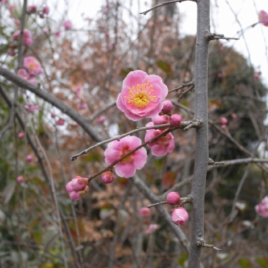 R0010045.JPG