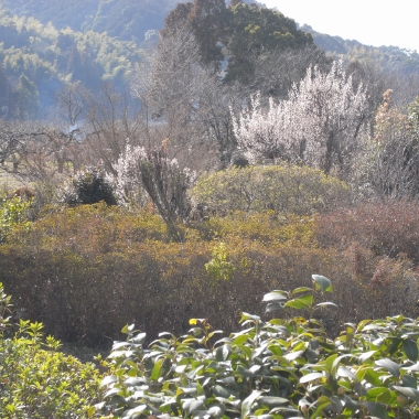 R0010176.JPG